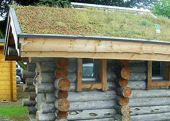 Eine Spezialität von Müther Saunabau: Kelosaunen aus dem Holz der Kelo-Kiefer